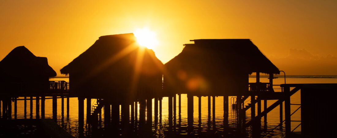 Página en Construcción